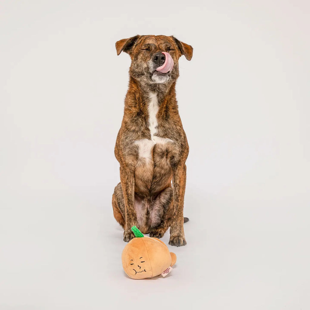 Jouet oignon jaune - THE FURRYFOLKS