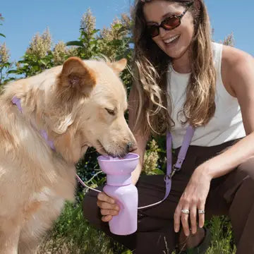 Bouteille d'eau Flip - SPRINGLAND PETS