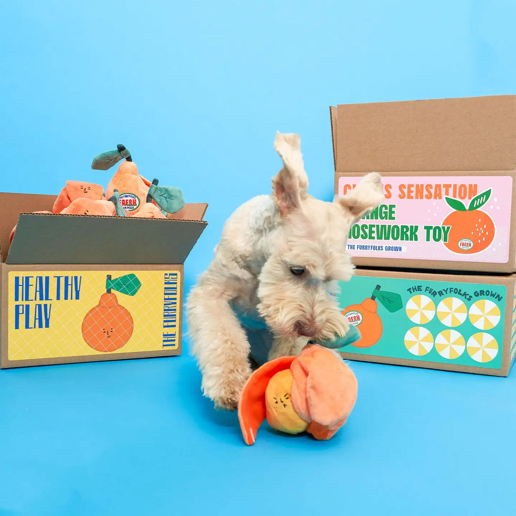 Jouet orange - THE FURRY FOLKS
