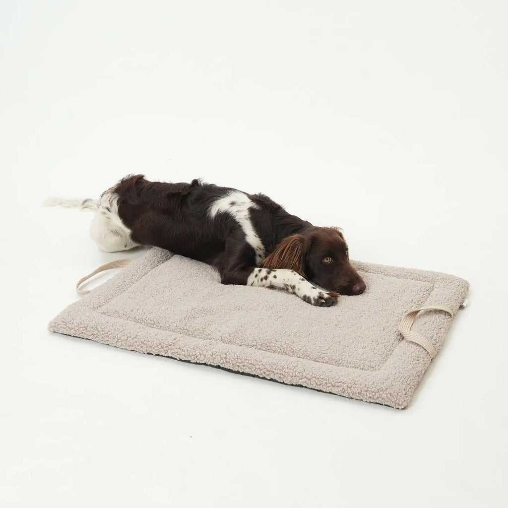 Tapis de voyage Matti - DOGS IN THE CITY