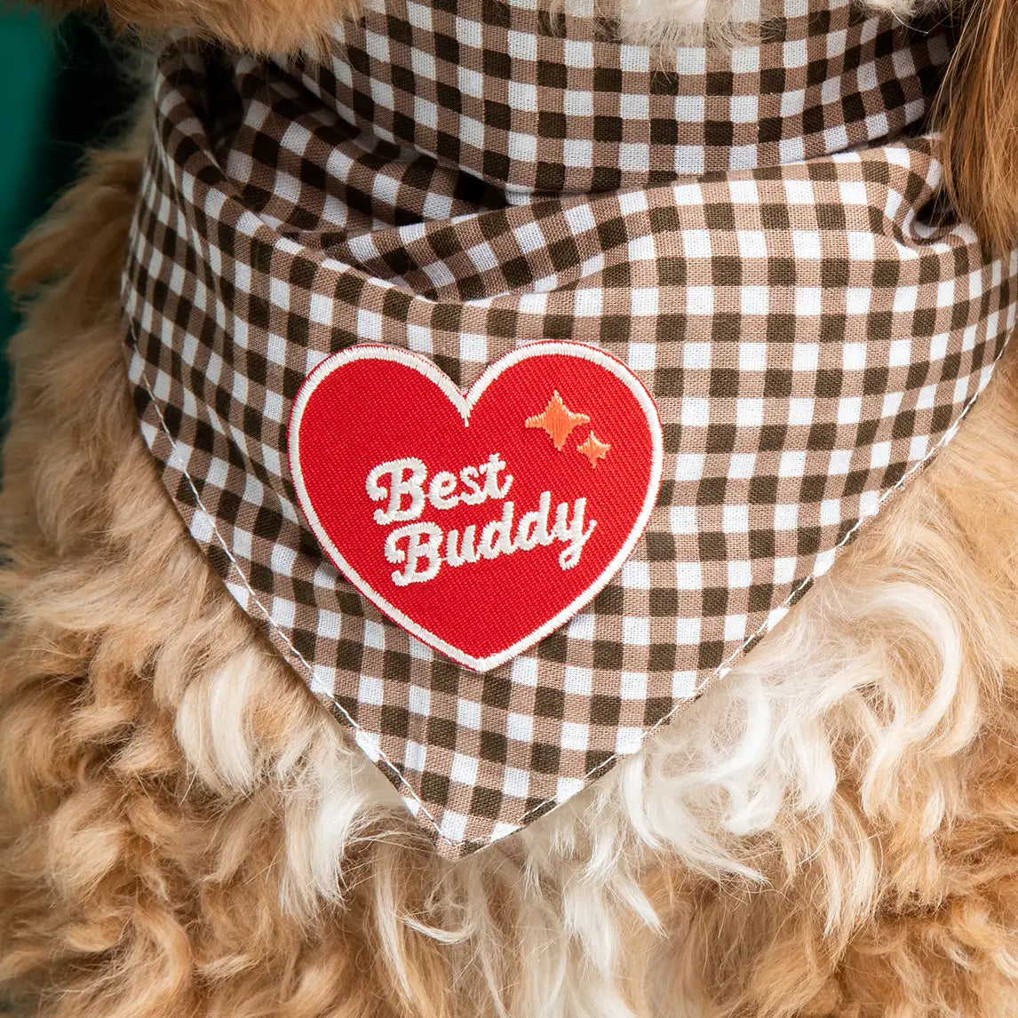 Badge de mérite BEST BUDDY - SCOUT'S HONOUR