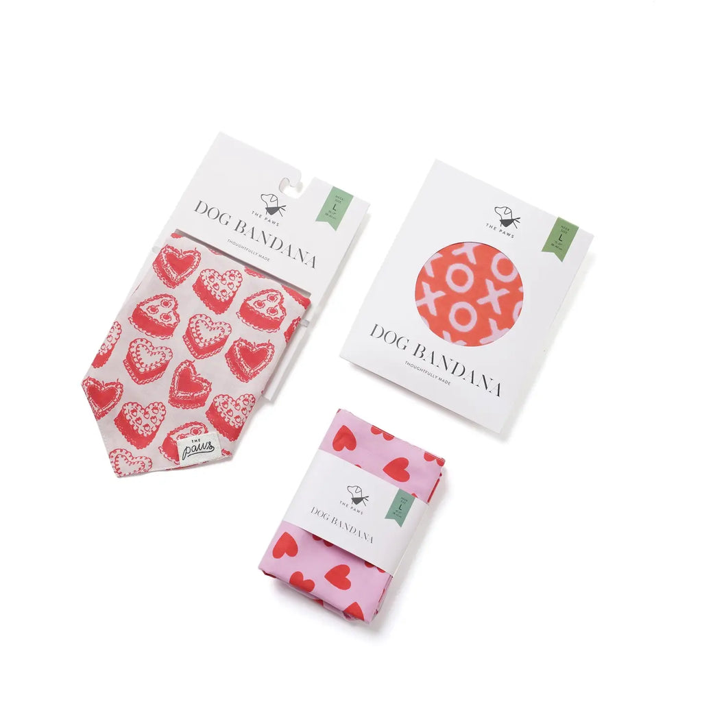 Bandana Love Song - THE PAWS