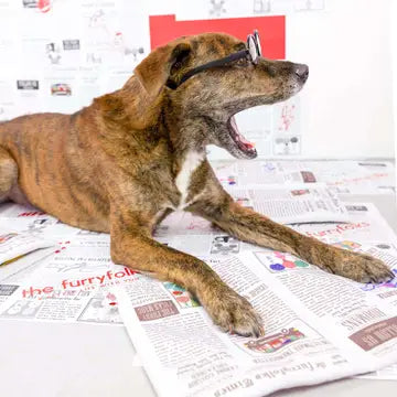 Jouet Journal Numéro 2 - THE FURRYFOLKS