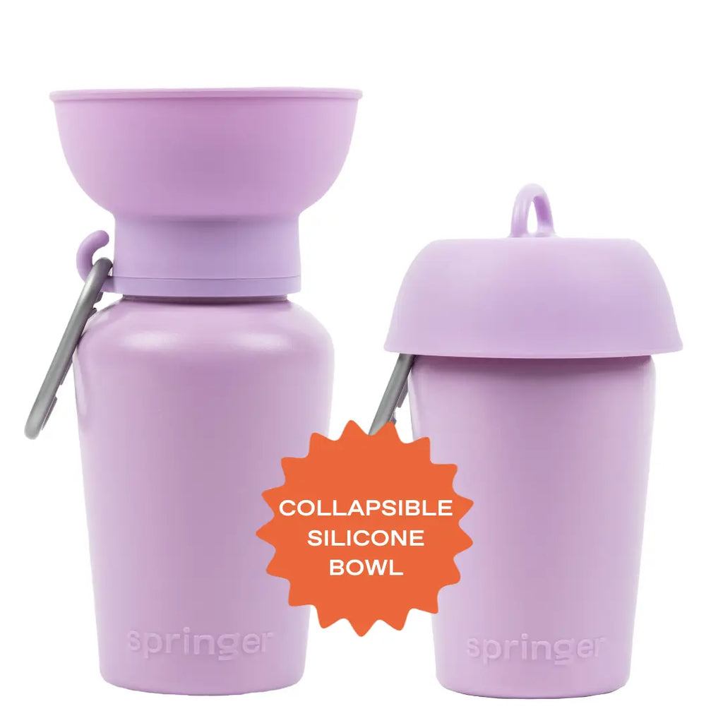Bouteille d'eau Flip - SPRINGLAND PETS