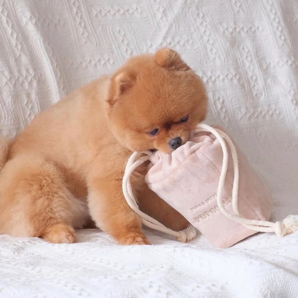 Jouet Pop Corn - PUP'S & BUBS