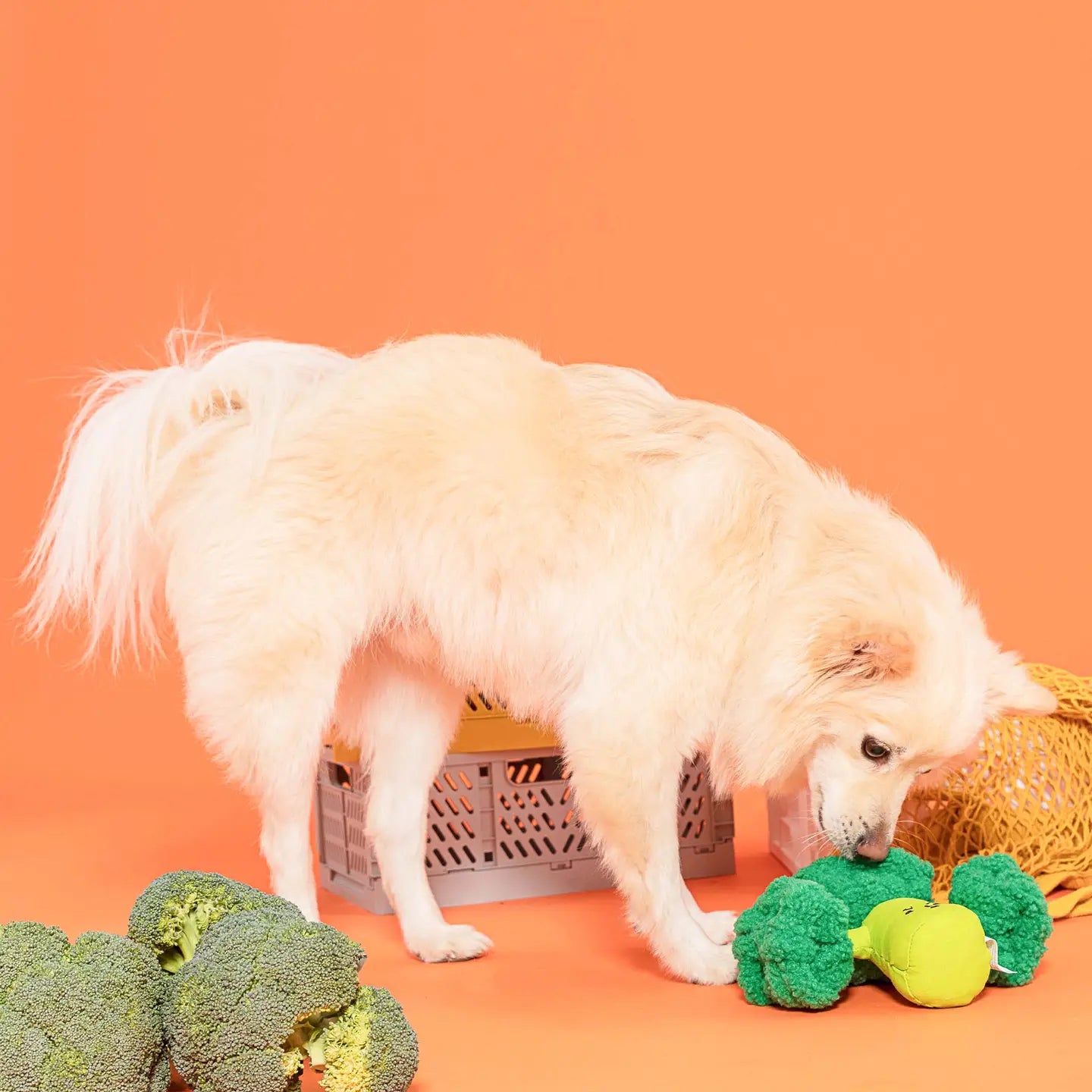 Jouet Brocolis - THE FURRYFOLKS