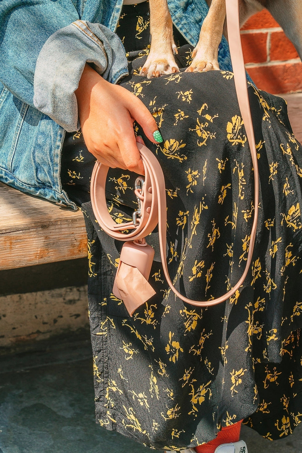 Dog waste bag dispenser - WILD ONE 