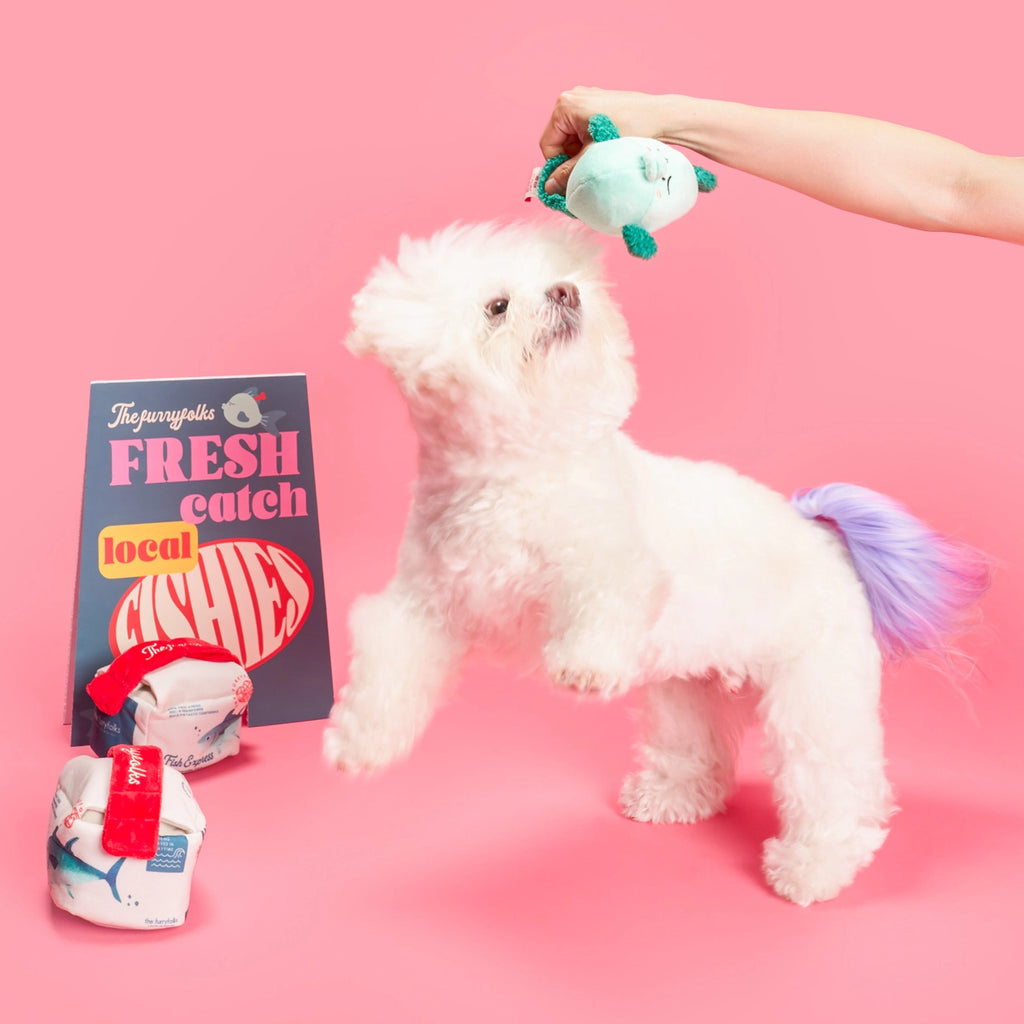 Jouet Fish Express - THE FURRYFOLKS