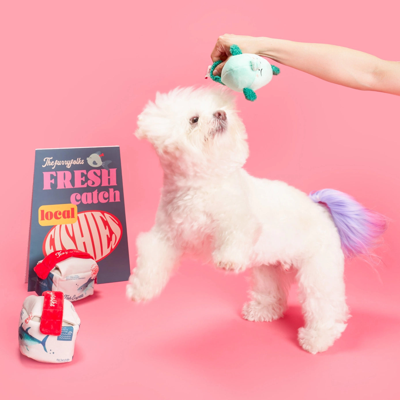 Jouet Fish Express - THE FURRYFOLKS
