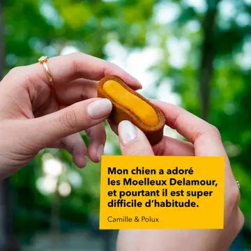 Pâtisseries Le Moelleux - Immunité - DELAMOUR