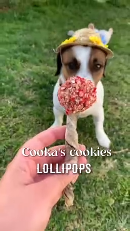 Friandise Lollipop - COOKA'S COOKIES