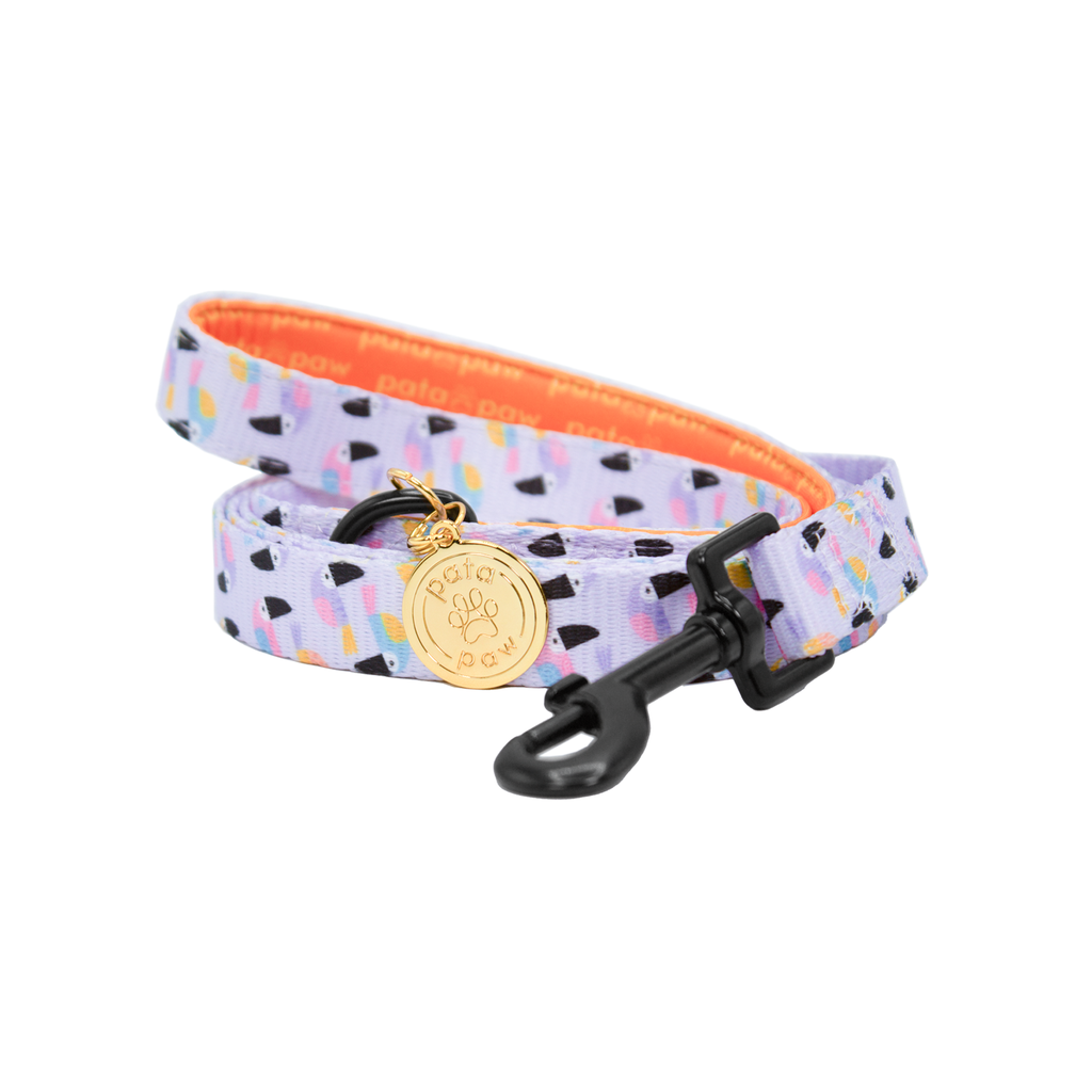 Laisse Toucan Tropics - PATA PAW