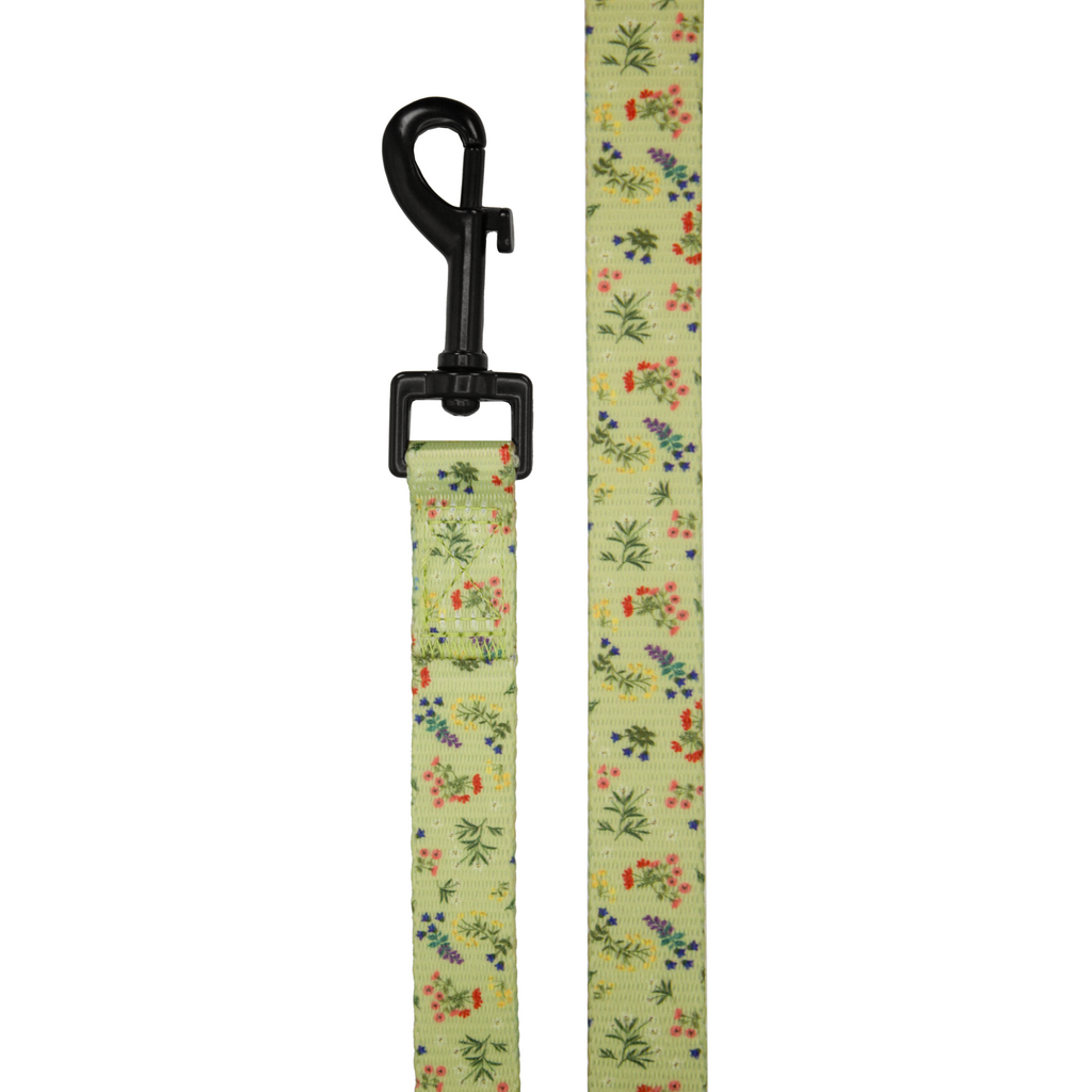 Laisse Alpine Wildflowers - PATA PAW