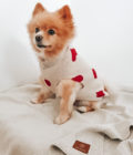 Chien portant un pull en tricot avec coeurs, de la marque Lou & Co