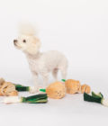 Chien posant avec un jouet pour chien Oignon vert, de la marque The Furry Folks