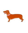 Pin's teckel de la marque Coucou Suzette