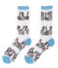 Chaussettes transparentes avec motifs Bergers Australiens de la marque Coucou Suzette.