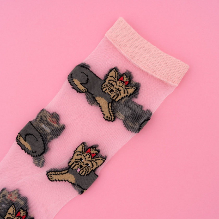 Chaussettes transparentes avec motifs Yorkshire de la marque Coucou Suzette.