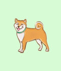 Pin's shiba Inu de la marque Coucou Suzette