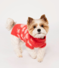 Photo d'un chien portant le pull Hug Me de la marque The Furry Folks. Pull rouge, avec des coeurs roses. Vue de face.