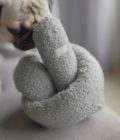 Chien jouant avec le jouet surdimensionnés O Nou couleur sauge de la marque Lambwolf Collective.