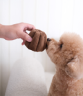 Jouet d'enrichissement pour chien en forme de canelé, de la marque LAMBWOLF COLLECTIVE
