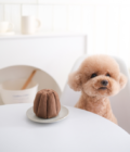 Jouet d'enrichissement pour chien en forme de canelé, de la marque LAMBWOLF COLLECTIVE