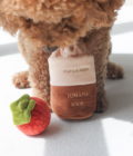 Jouet d'enrichissement nasal pour chien en forme de soupe de tomates, de la marque Pups & Bubs