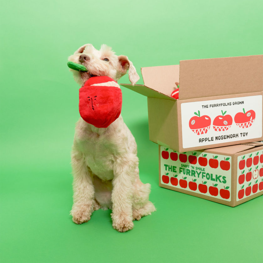 Jouet pour chien en forme de pomme rouge, de la marque The Furry Folks