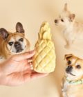 Jouet pour chien en forme d'ananas qui couine, couleur jaune pastel, de la marque Barc London