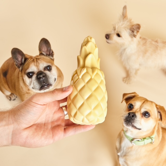 Jouet pour chien en forme d'ananas qui couine, couleur jaune pastel, de la marque Barc London