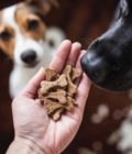 Friandises pour chien au boeuf, de la marque Cooka's Cookies