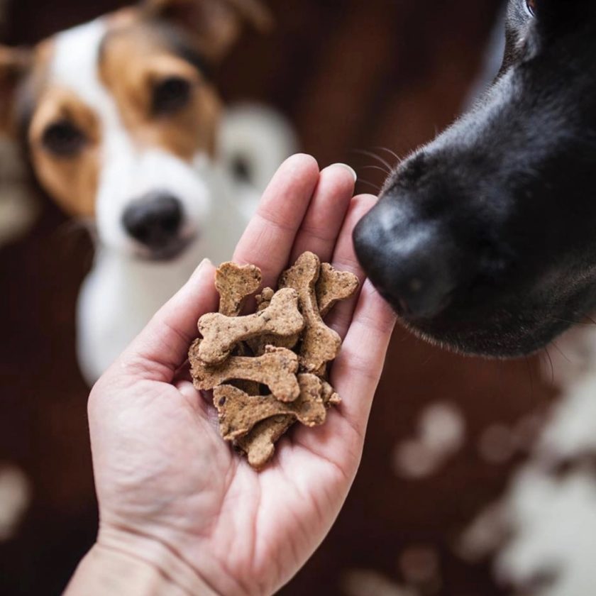 Friandises pour chien au boeuf, de la marque Cooka's Cookies