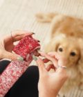 Jouet d'enrichissement pour chien Lollipop, de la marque LAMBWOLF COLLECTIVE