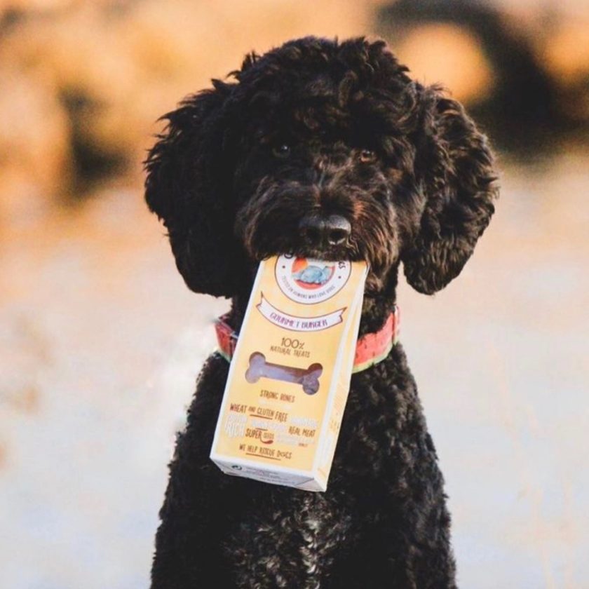 Friandises naturelles pour chien, de la marque Cooka's Cookies