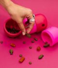 Le distributeur de friandises, jouet à lécher pour chien de la marque Babelle For Dogs