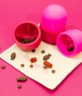 Le distributeur de friandises, jouet à lécher pour chien de la marque Babelle For Dogs