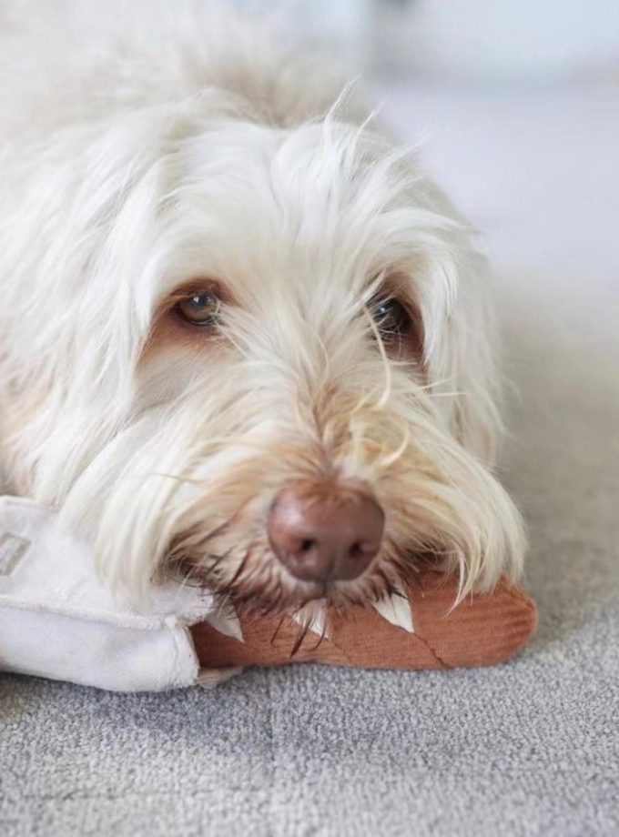 Jouet pour chien en forme de mini-baguette, de la marque LAMBWOLF COLLECTIVE