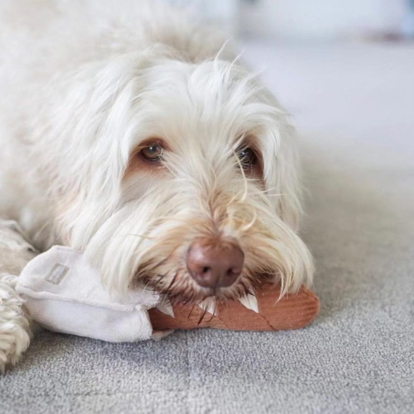 Jouet pour chien en forme de mini-baguette, de la marque LAMBWOLF COLLECTIVE