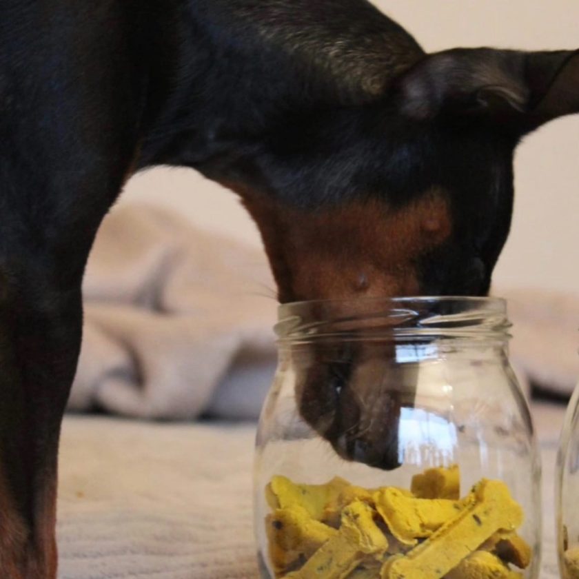 Friandises naturelles pour chiens contenant des superaliments, de la marque Cooka's Cookies