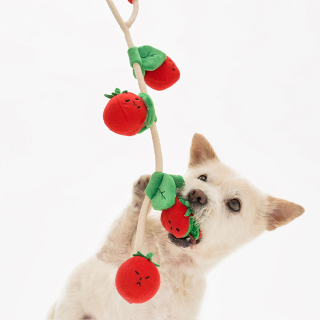 Jouet à tirer pour chien en forme de tomates cerise, de la marque The Furryfolks