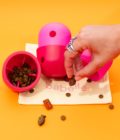 Le distributeur de friandises, jouet à lécher pour chien de la marque Babelle For Dogs