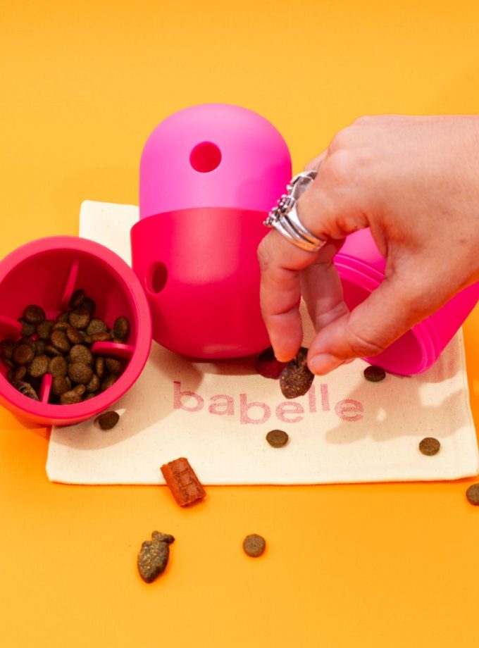 Le distributeur de friandises, jouet à lécher pour chien de la marque Babelle For Dogs
