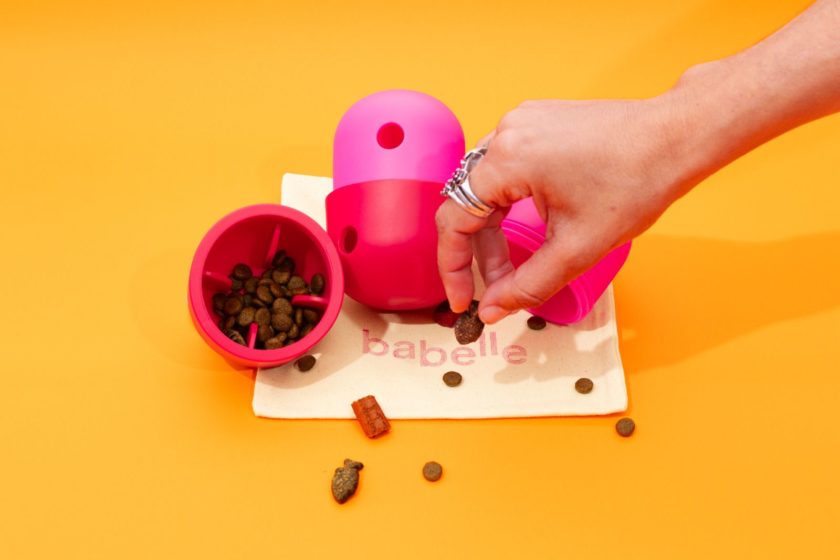 Le distributeur de friandises, jouet à lécher pour chien de la marque Babelle For Dogs