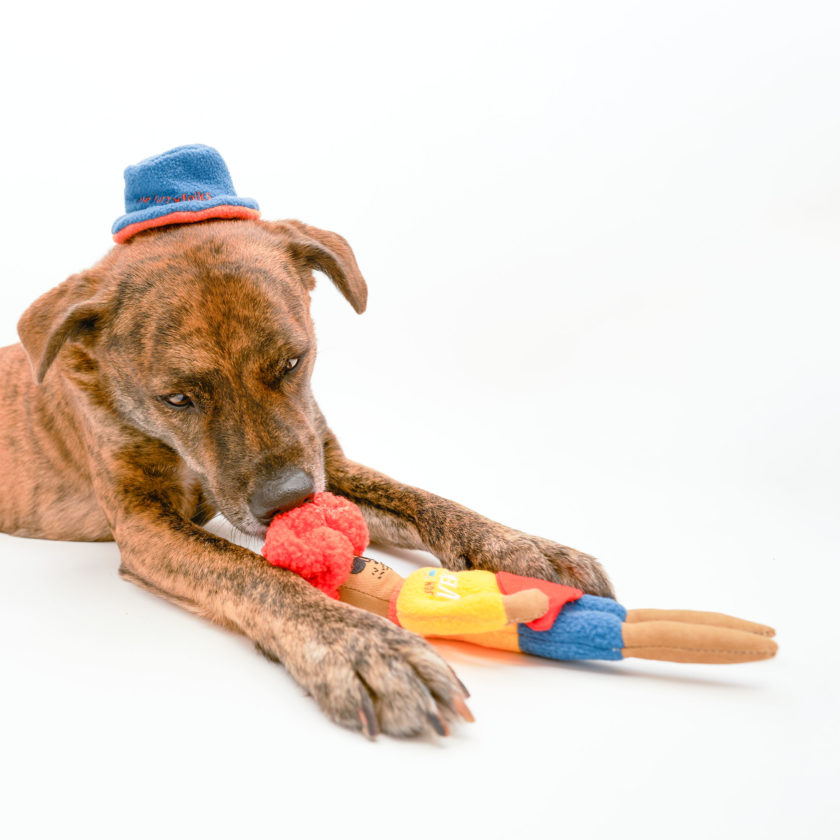 Jouet pour chien en forme de surfeur, de la marque The Furryfolks