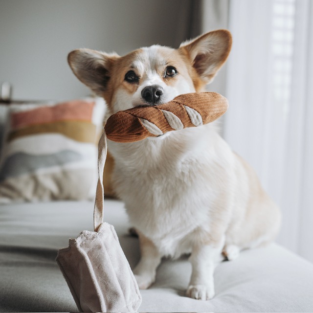 Jouet pour chien en forme de mini-baguette, de la marque LAMBWOLF COLLECTIVE