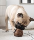 Jouet d'enrichissement pour chien en forme de canelé, de la marque LAMBWOLF COLLECTIVE
