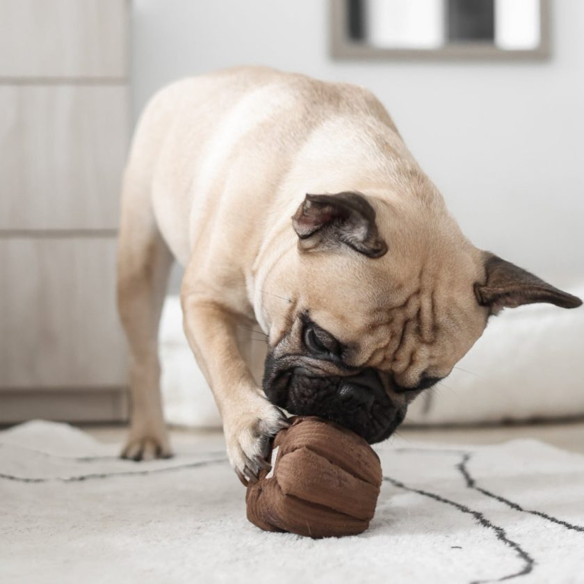 Jouet d'enrichissement pour chien en forme de canelé, de la marque LAMBWOLF COLLECTIVE