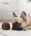 Jouet d'enrichissement pour chien en forme de canelé, de la marque LAMBWOLF COLLECTIVE
