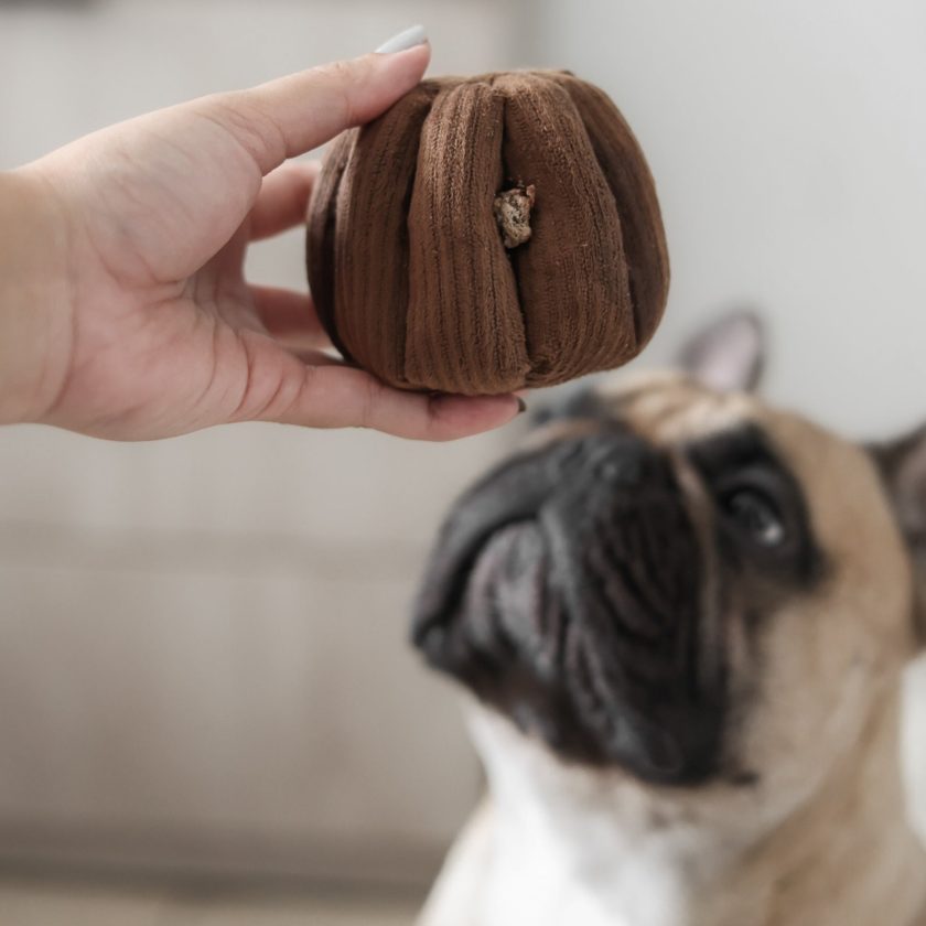 Jouet d'enrichissement pour chien en forme de canelé, de la marque LAMBWOLF COLLECTIVE